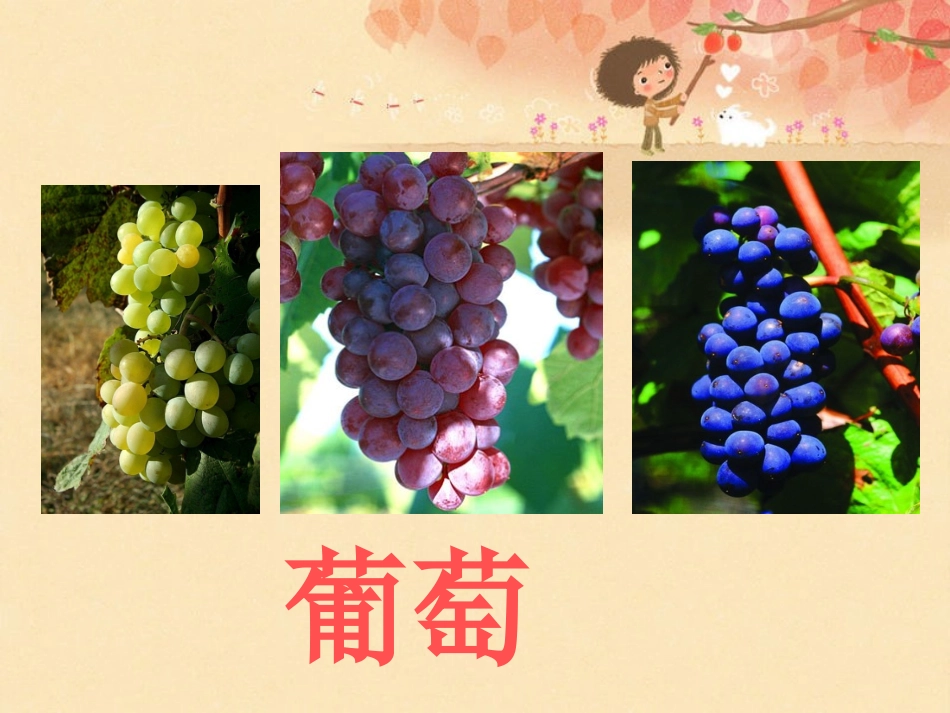 10.葡萄沟_第2页