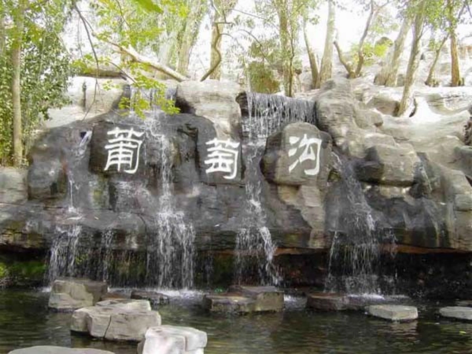 10.葡萄沟_第3页