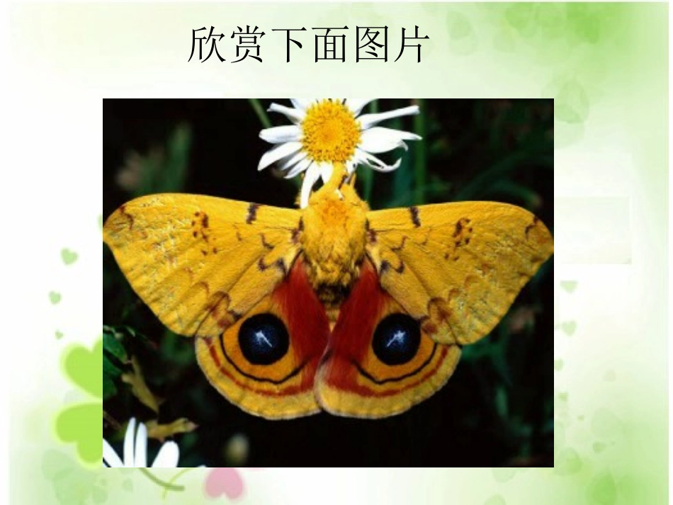 《轴对称图形》课件._第2页