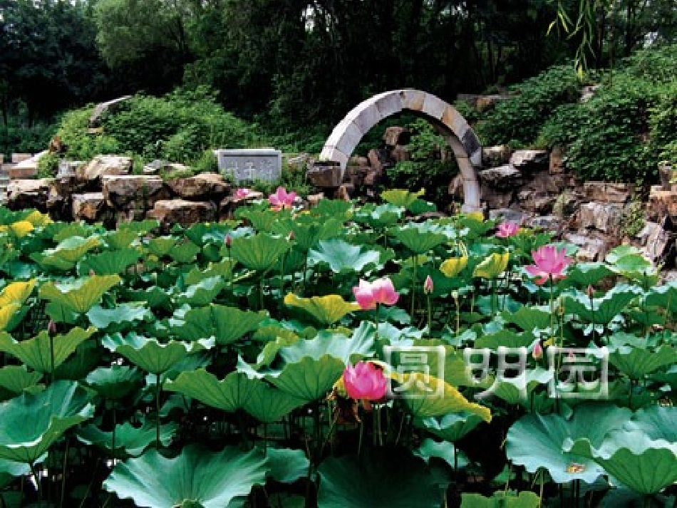 人教版语文小学五年级上册《圆明园的毁灭》课件_第3页