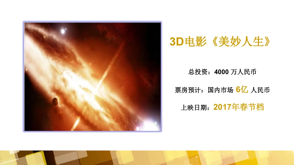 《美妙人生》电影投资方案.商业计划书【恩美路演提供】_第3页