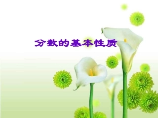 分数的基本性质