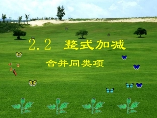 合并同类项(富源县大河镇第一中学王