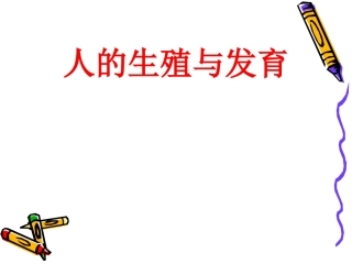 《人的生殖与发育》课件2