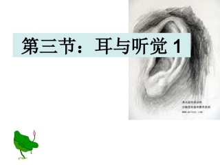 第140323号第3节-耳和听觉1