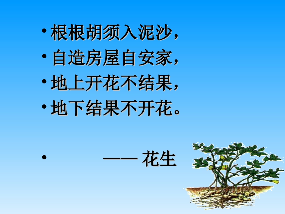 15落花生ppt课件_第1页