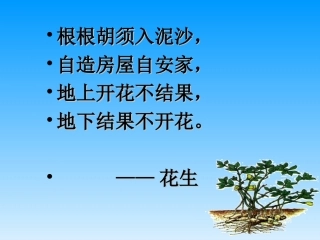 15落花生ppt课件