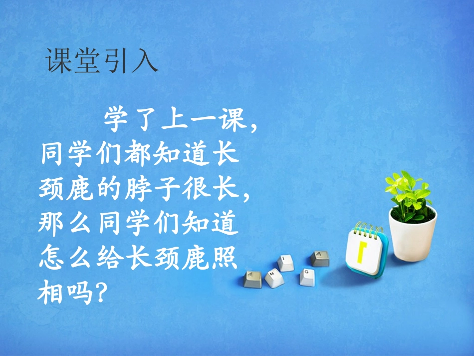 《动脑筋照相》课件1_第2页
