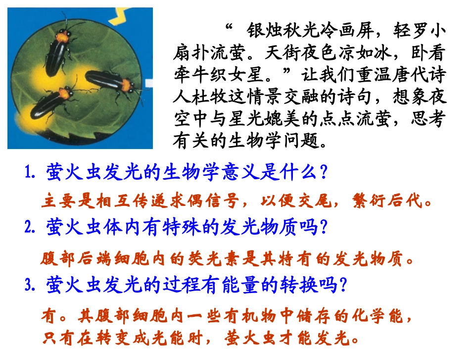 第二节细胞的能量“通货”──ATP_第2页