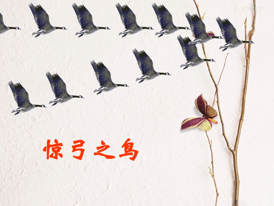 惊弓之鸟PPT_第1页