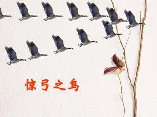 惊弓之鸟PPT