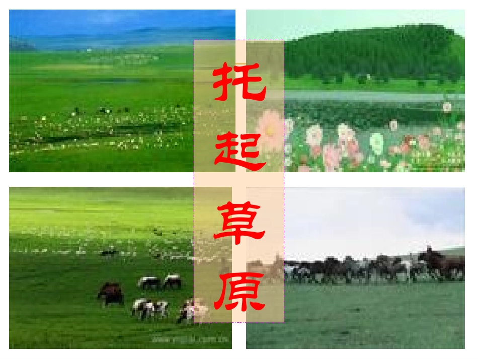 托起草原-(2)_第1页
