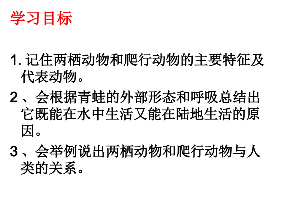 两栖动物和爬行动物_第2页