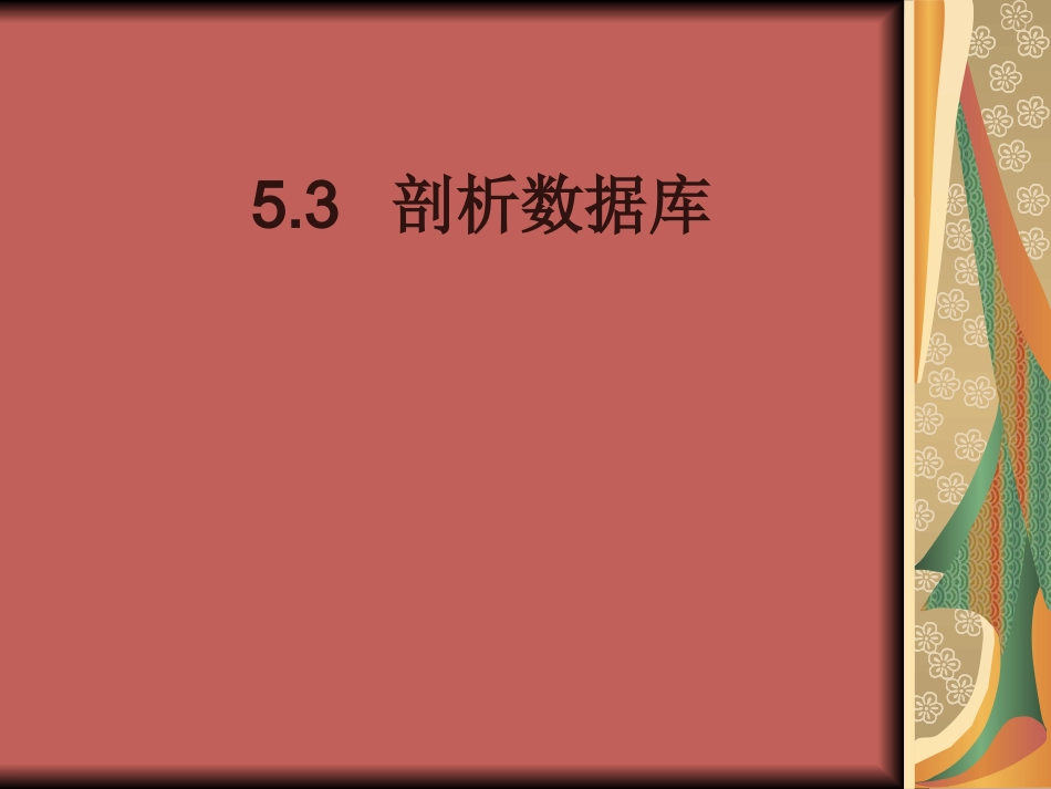 5.3剖析数据库._第1页