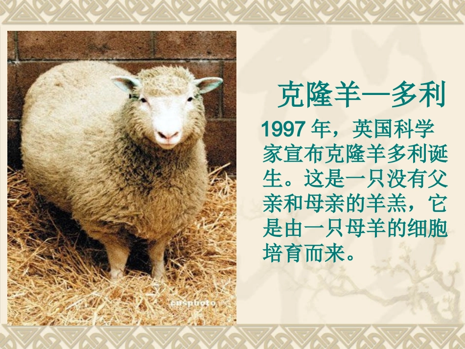 小学科学五年级下册《生物繁殖新技术》课件_第2页