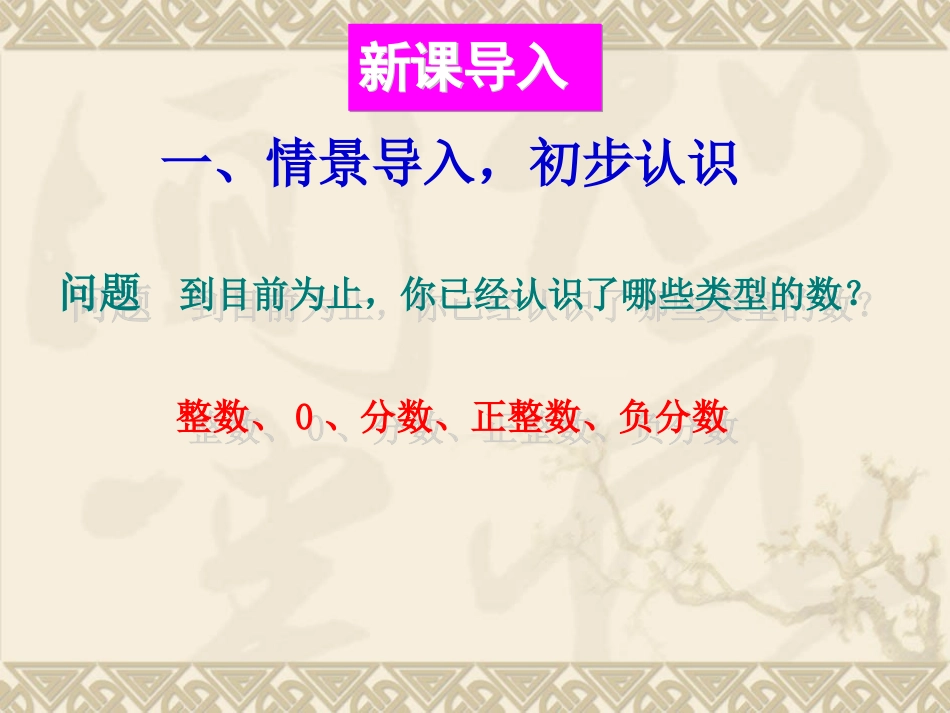 1.2.1有理数1课时.2.1有理数_第2页