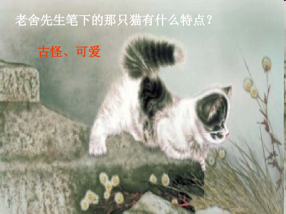 172《母鸡》课件_第3页