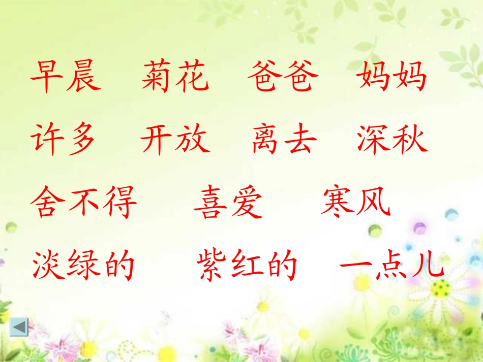 《看菊花》课件_第2页