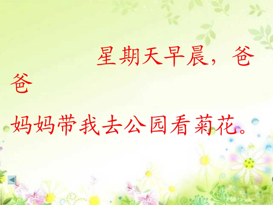 《看菊花》课件_第3页
