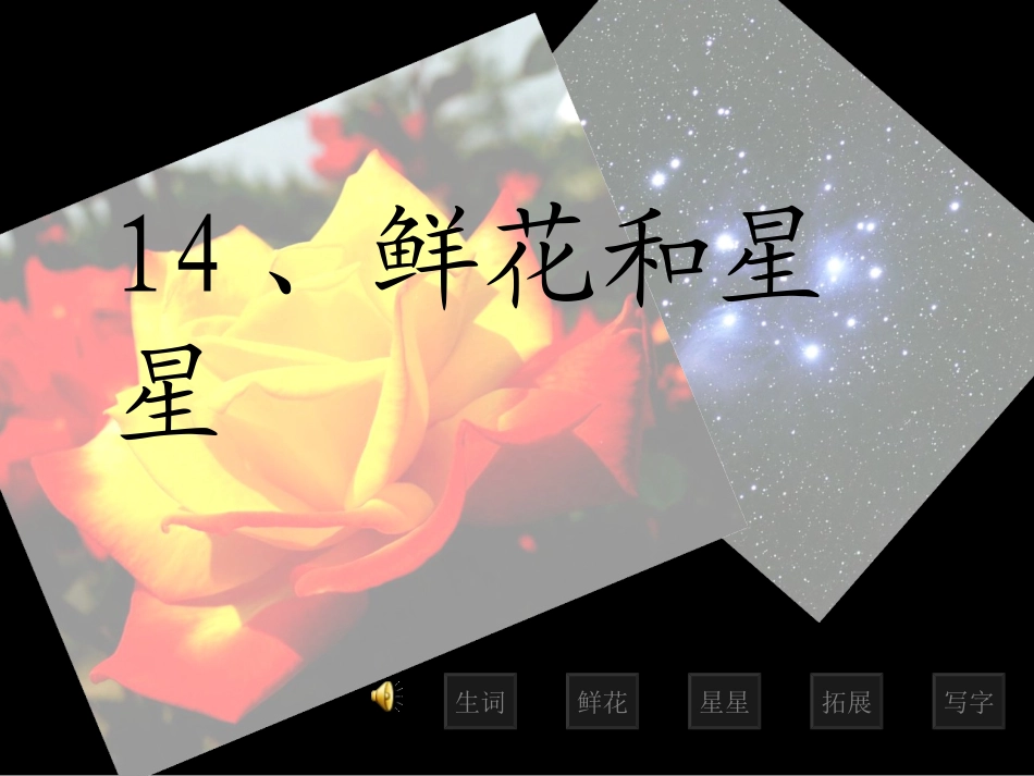 《鲜花和星星》课件_第3页