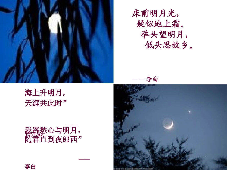语文版八年级上《记承天寺夜游》_第2页