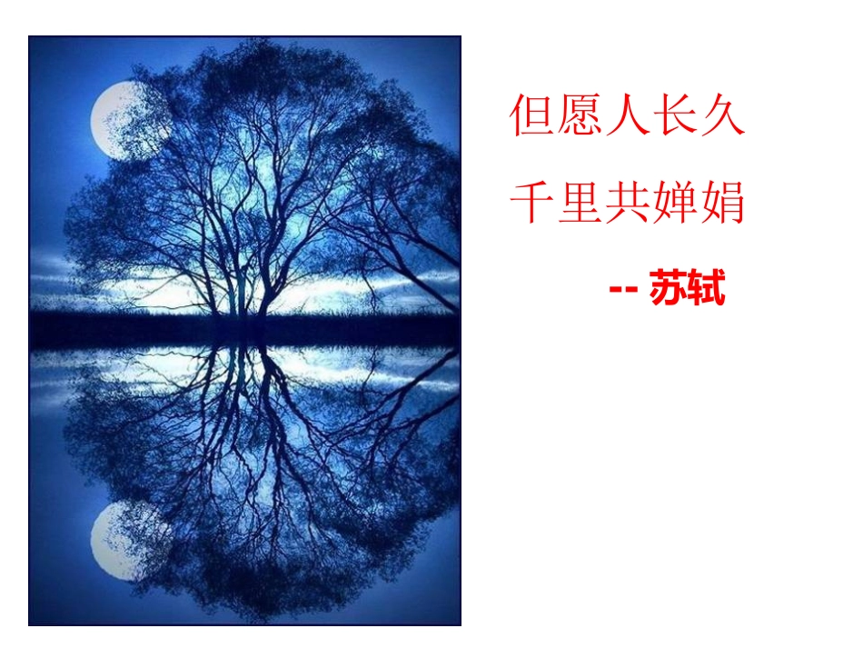 语文版八年级上《记承天寺夜游》_第3页
