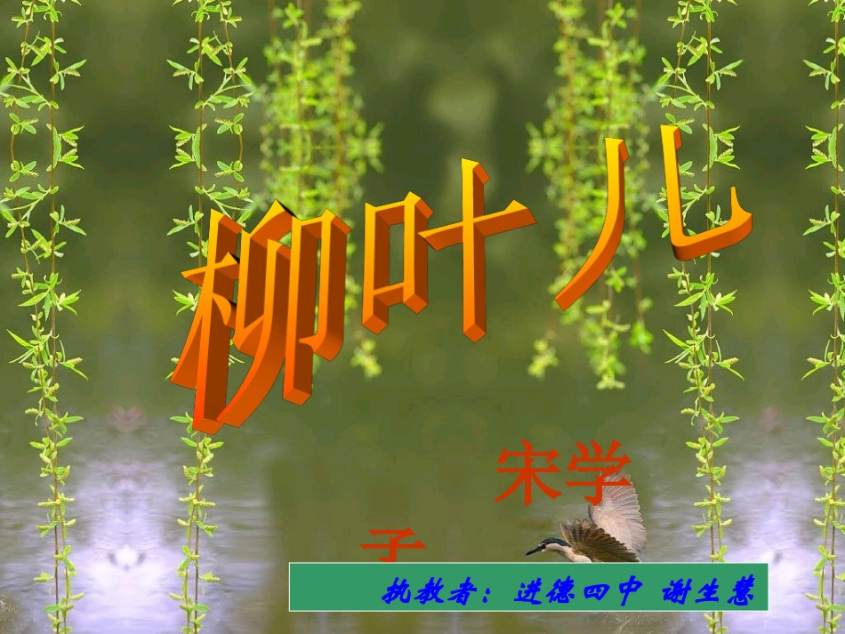 柳叶儿(谢生慧公开课课件)._第2页