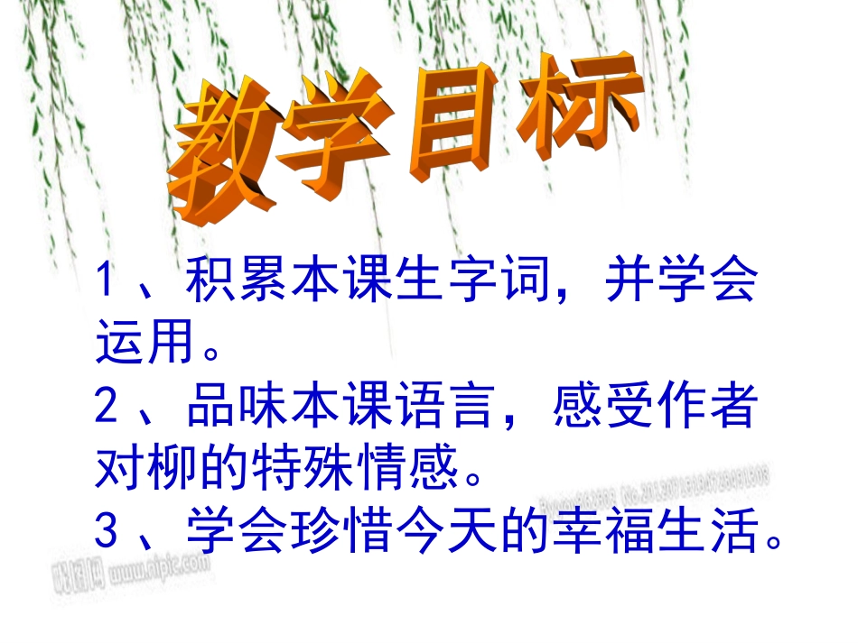 柳叶儿(谢生慧公开课课件)._第3页