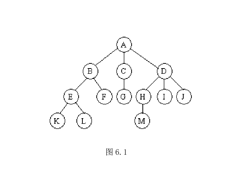 DS06-树树和二叉树_第3页