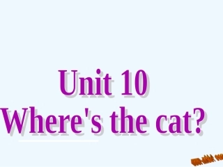 新版四年级上册Unit11-Where's-the-cat