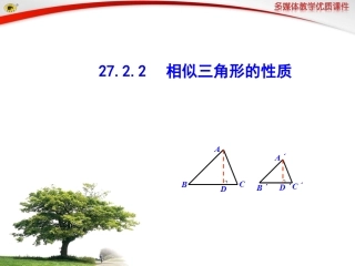 27.2相似三角形性质