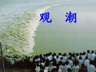 1、观潮(第一课时)