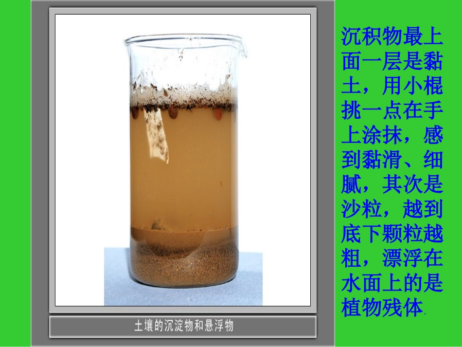 《土壤中有什么》._第3页