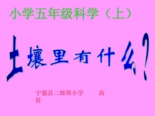 《土壤中有什么》.