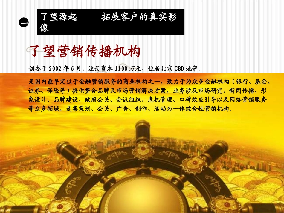 了望营销机构推广传播方案_第2页