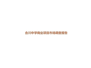 2010合川商业地产市场调查报告
