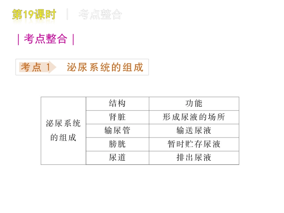 人体内废物的排出_第2页