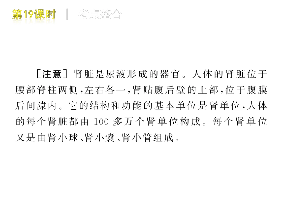 人体内废物的排出_第3页