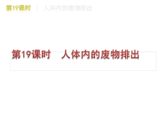 人体内废物的排出