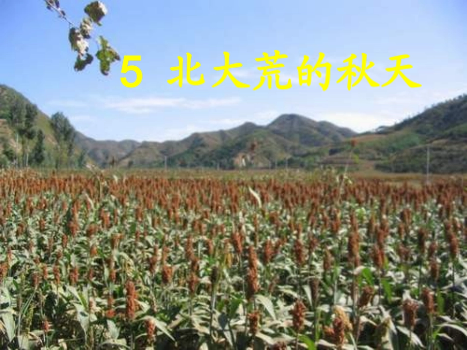 北大荒的秋天_第1页