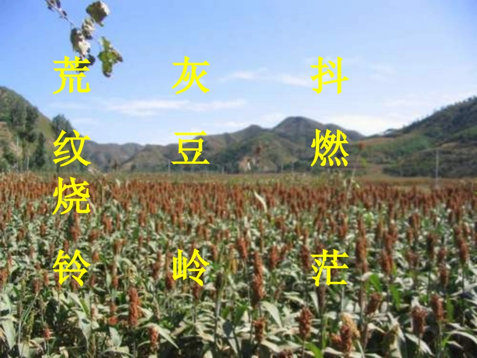 北大荒的秋天_第2页