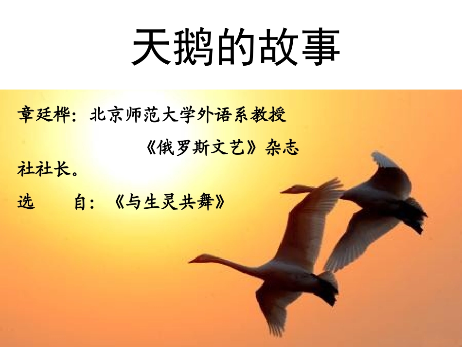 天鹅的故事1._第3页