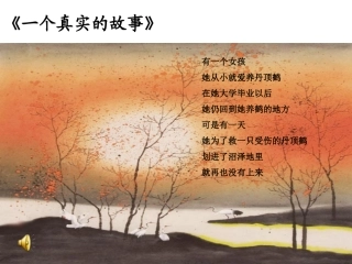 天鹅的故事1.