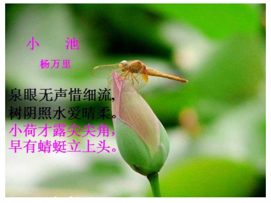 荷塘月色教案_第2页