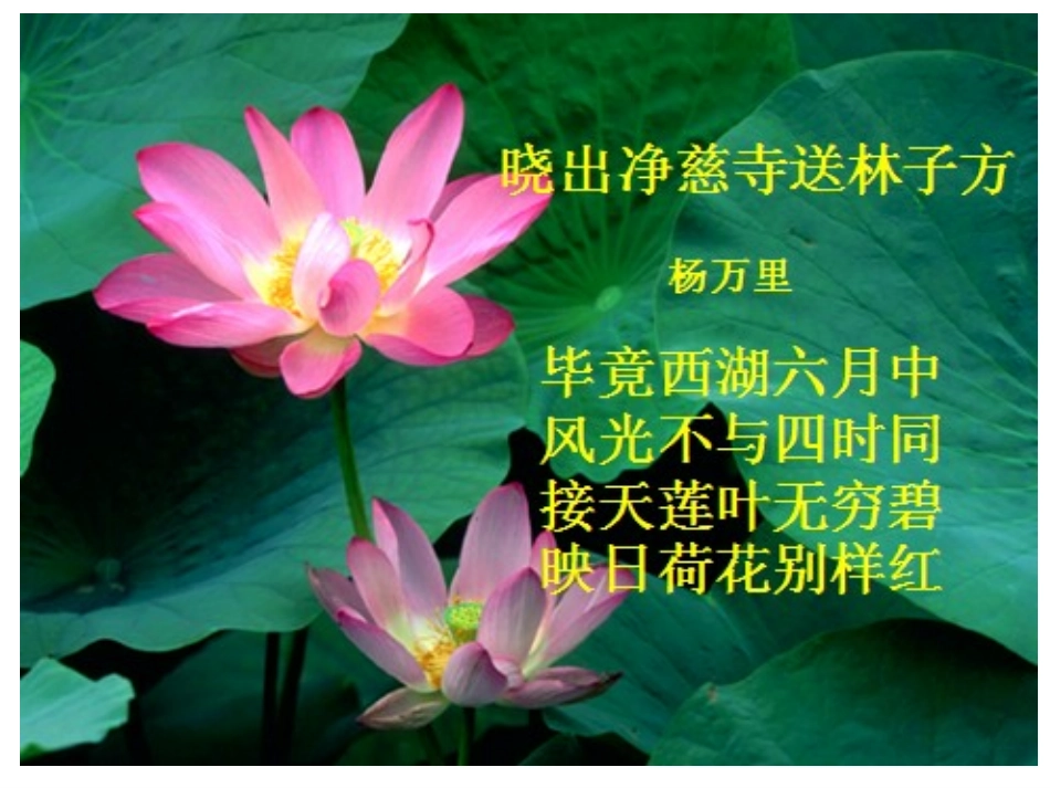 荷塘月色教案_第3页