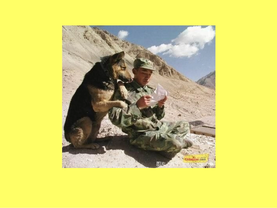 小学六年级上册语文第二十四课金色的脚印PPT课件2_第3页