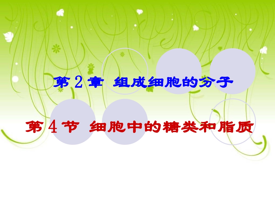 2.4-细胞中的糖类和脂质-课件-陈铨_第1页