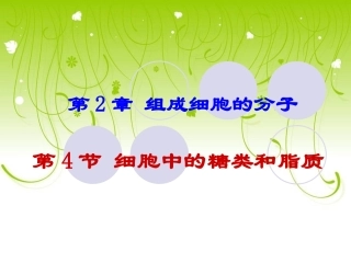 2.4-细胞中的糖类和脂质-课件-陈铨