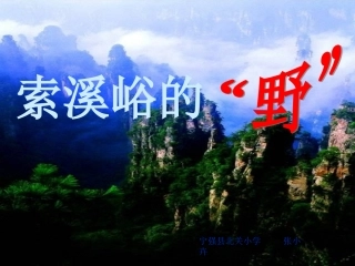 索溪峪的野1