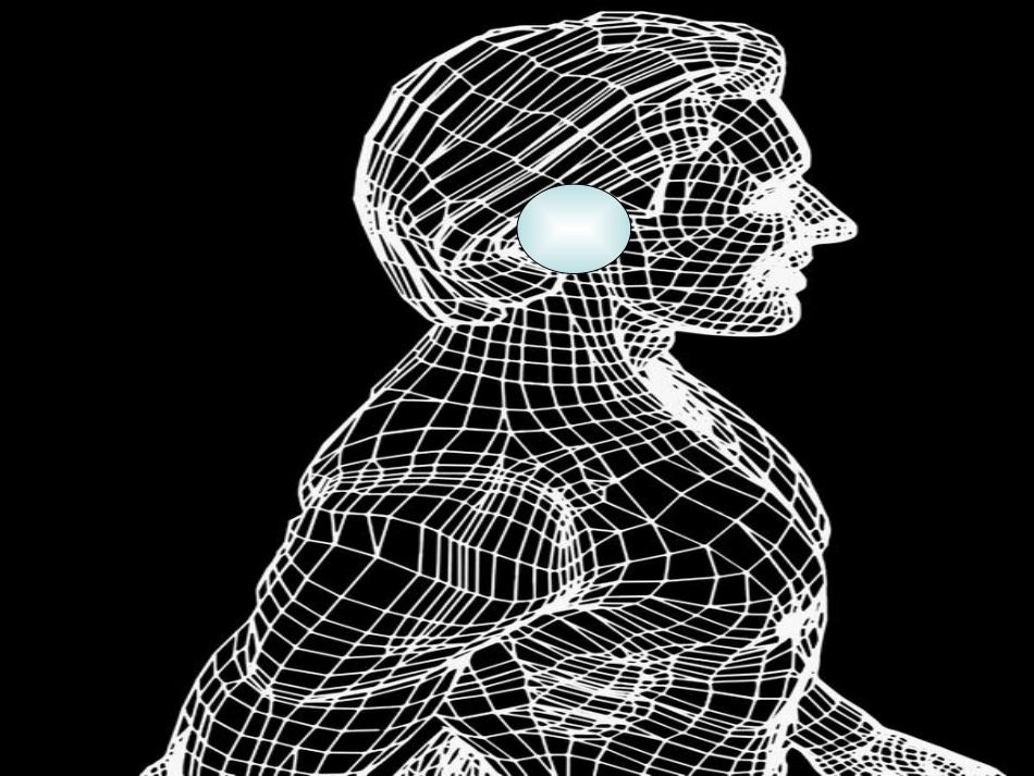 选修七Unit2-Robots-Rintensive-reading-ppt课件-人教版-高中英语(共34张PPT)_第2页